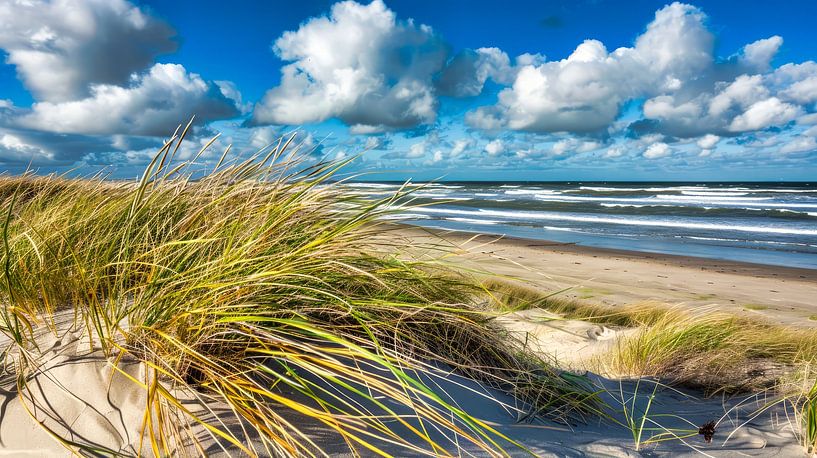 sun, sea and beach by Egon Zitter