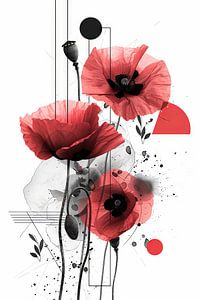 Mohn - Mohn Blumen