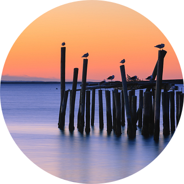 Zonsopkomst in Provincetown, Cape Cod, Massachusetts van Henk Meijer Photography