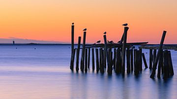 Zonsopkomst in Provincetown, Cape Cod, Massachusetts van Henk Meijer Photography