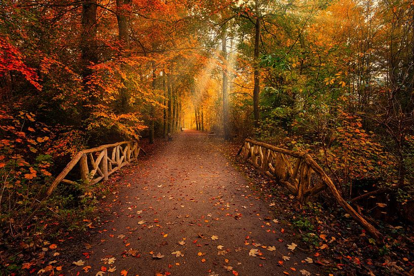 bridge to the light by peterheinspictures