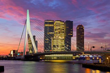 Sunrise at the Rotterdam and Erasmus bridge by Anton de Zeeuw