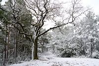 After a snowstorm.