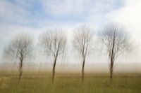 Moving trees