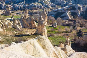 Landschap, Cappadocia, Turkije van Lieuwe J. Zander