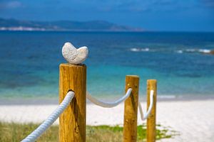Beachlove