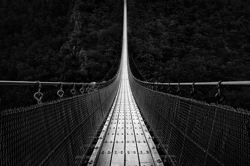 Geierlay brug zwart-wit