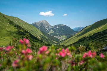 Panoramisch uitzicht op de Tiroler Alpen, inclusief de bergen Thaneller en Berwang van Leo Schindzielorz