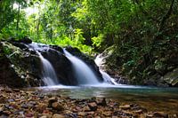 Wasserfall im Dschungel