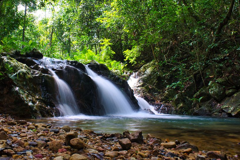 Waterval in de jungle van Bart Nikkels