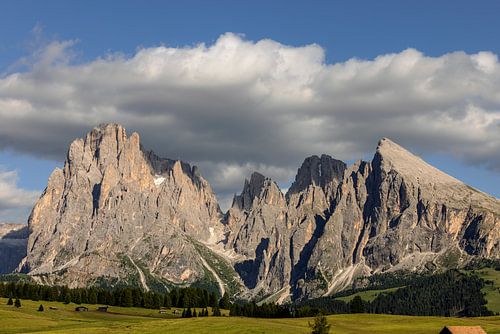 Alpe di Siusi, Dolomieten