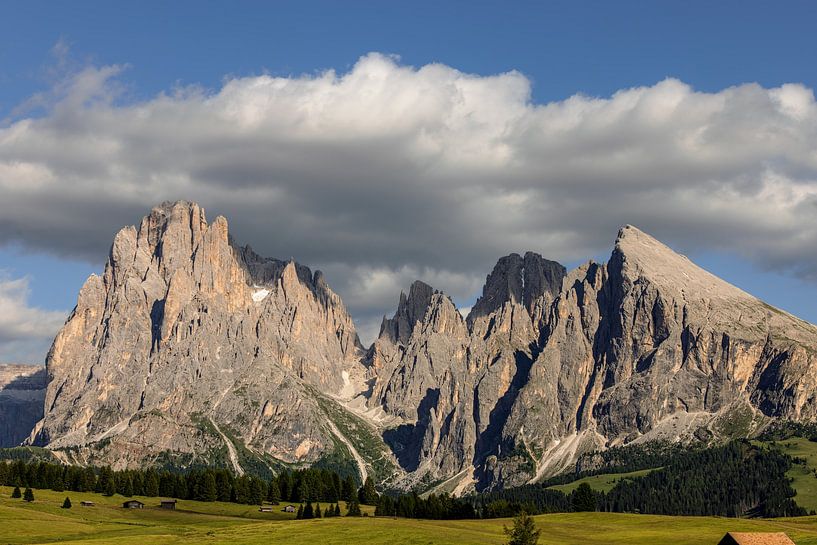 Seiser Alm, Dolomiten von Dirk Rüter