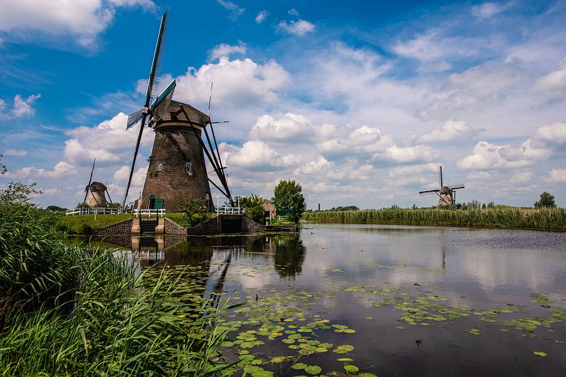Windmills on the Kinderdijk by Brian Morgan