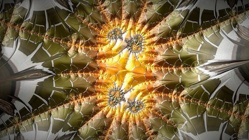 Freie Fraktale: #000249