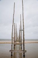 Der alte, hölzerne Anlegesteg der Friendship, der Fähre von Texel nach Vlieland | Strand- und Meeres
