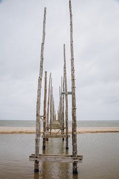De oude, houten steiger van de Vriendschap, de veerboot van Texel naar Vlieland | Strand en zee foto