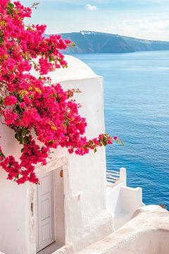 Santorini in bloom by Poster Art Shop