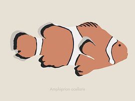 A minimalist and colourful illustration of a clownfish. by UMA Digital NL