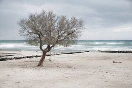 Sea in sight... by Maja Mars