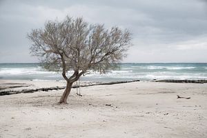 Meer in Sicht... von Maja Mars