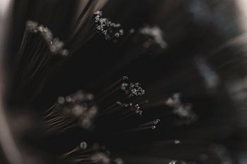 Abstrakte Geschirrspülbürste Nahaufnahme