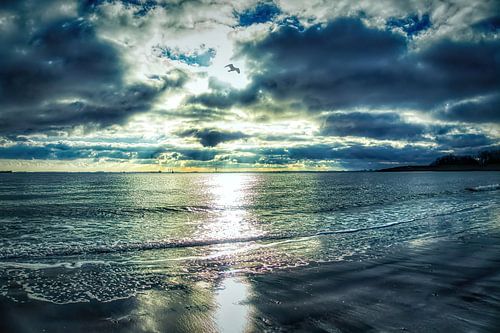 Sonnenuntergang über der Westerschelde