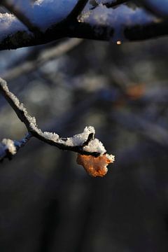 Wintertijd van Thomas Jäger