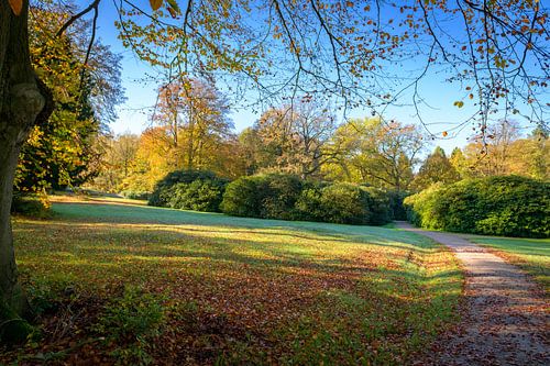 Herfst kleurwedstrijd op Landgoed Rhederoord