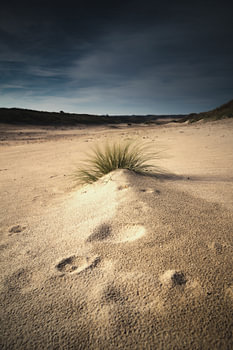 Amsterdam water supply dunes 001