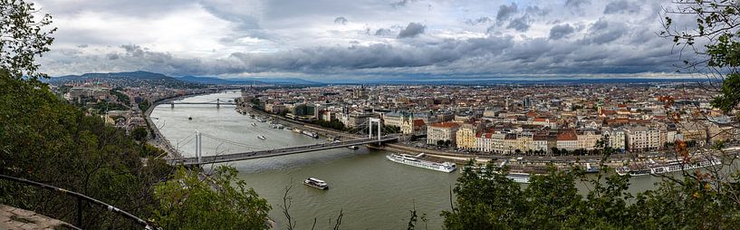 Budapest on the Blue Danube by Roland Brack