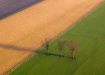 Hollands polderlandschap vanuit de lucht van Arina Keijzer