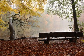 A bench overlooking a lake with nice autumn