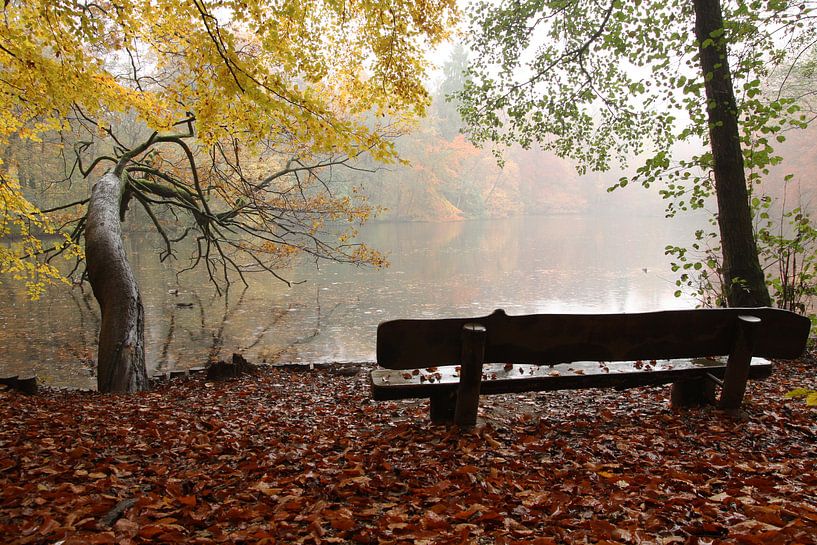 A bench overlooking a lake with nice autumn by Paul Wendels