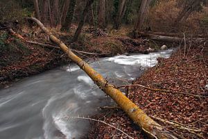 Rio Durcal von Cornelis (Cees) Cornelissen