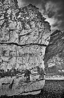 Black&white Landscape Normandy