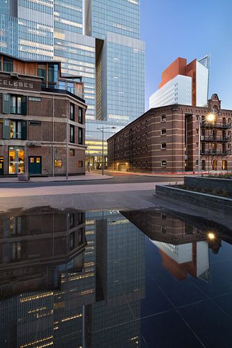 Die Rotterdam von hinten