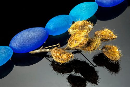 five blue stones of glass and withered spiny balls