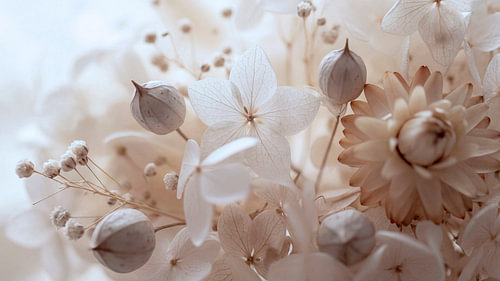 Getrocknete Blumen