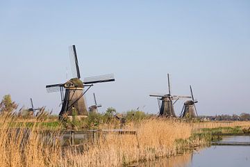 Windmolens met water  in avondlicht, Kinderdijk van Ger Beekes