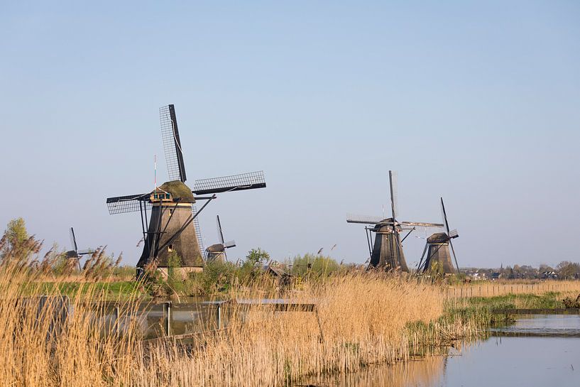 Moulin à vent avec de l'eau,  Kinderdijk, Pays-Bas par Ger Beekes