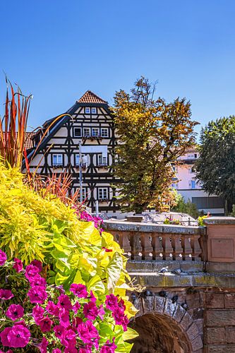 BADE-WURTEMBERG : ESSLINGEN AM NECKAR