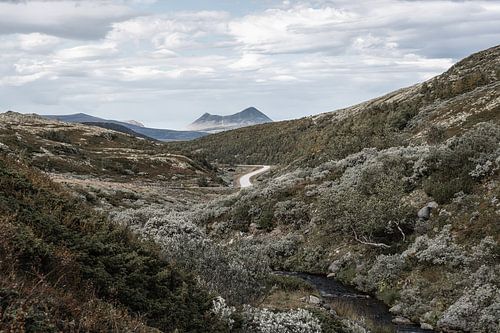 Photographies aériennes exclusives de la rivière et de la route sinueuse menant aux Store Solnkletten en Norvège