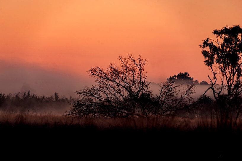 Zonsopkomst van Esther Bax