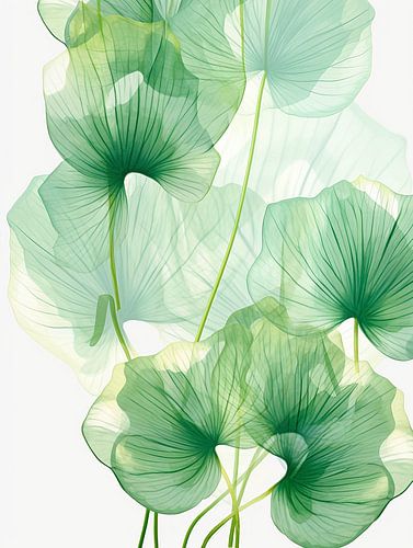Flowing Lotus van Color Square