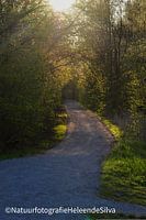 the path to...