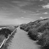 Küstenweg bei Kampen auf Sylt in schwarzweiß von Martin Flechsig