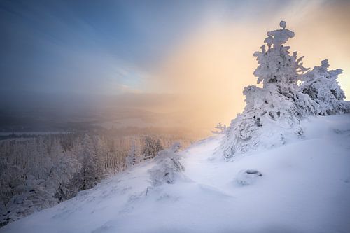 The first snow in the Harz Mountains