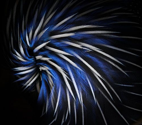 Noir, blanc et bleu