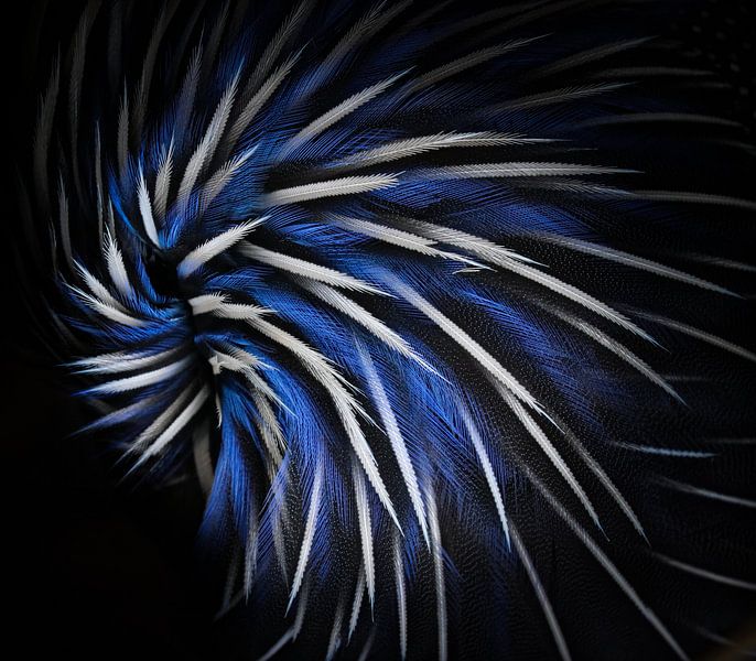 Zwart, wit &amp; blauw van RT Photography