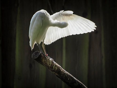 Attraper la lumière du soleil
